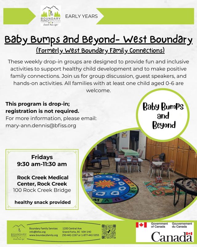 Baby Bumps and Beyond Program