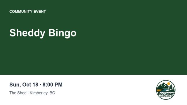Sheddy Bingo