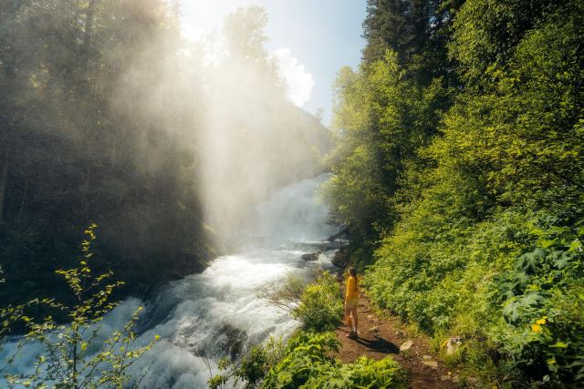 Fairy Creek Falls Hike and Introduction to New Paleo Trail