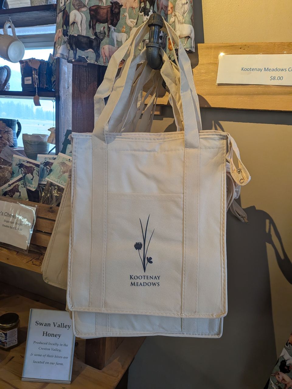 Free Cooler Bag