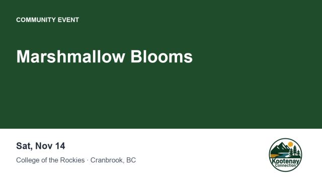 Marshmallow Blooms
