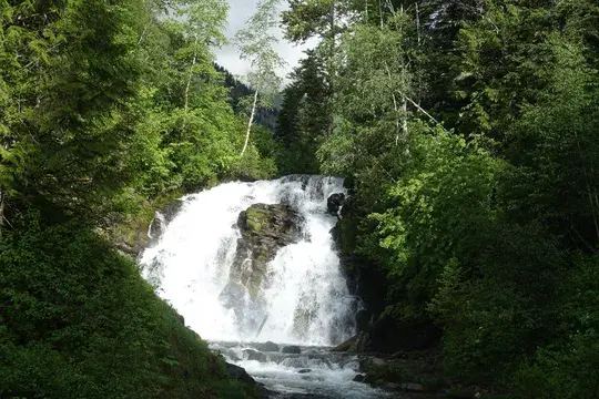 Fairy Creek Falls Hike and Introduction to New Paleo Trail